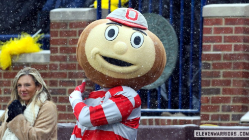 Brutus Buckeye, official mascot of The Ohio State University