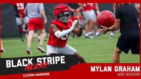 Mylan Graham Sheds Black Stripe