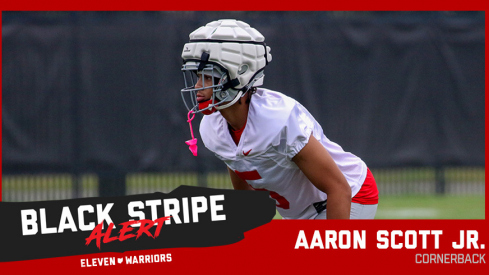 Aaron Scott Jr. Sheds Black Stripe