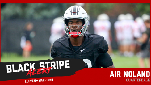 Air Noland Sheds Black Stripe