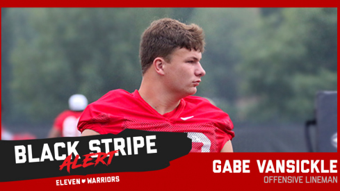 Gabe VanSickle Sheds Black Stripe