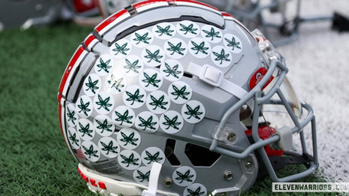 Ohio State Buckeyes helmet