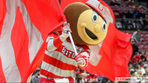 Brutus Buckeye