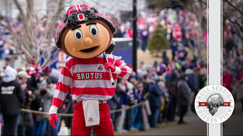 Brutus Buckeye at the NHL Stadium Series game