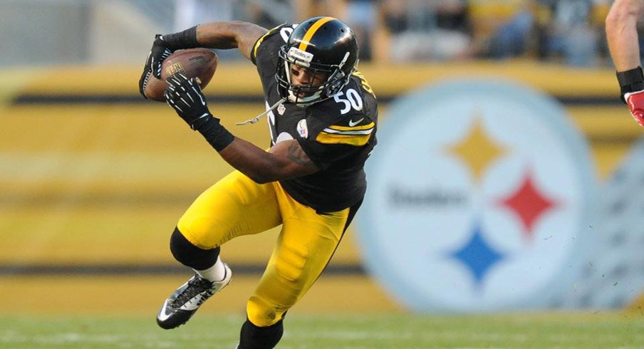 Ryan Shazier Shines in Pittsburgh Steelers Debut  Eleven 