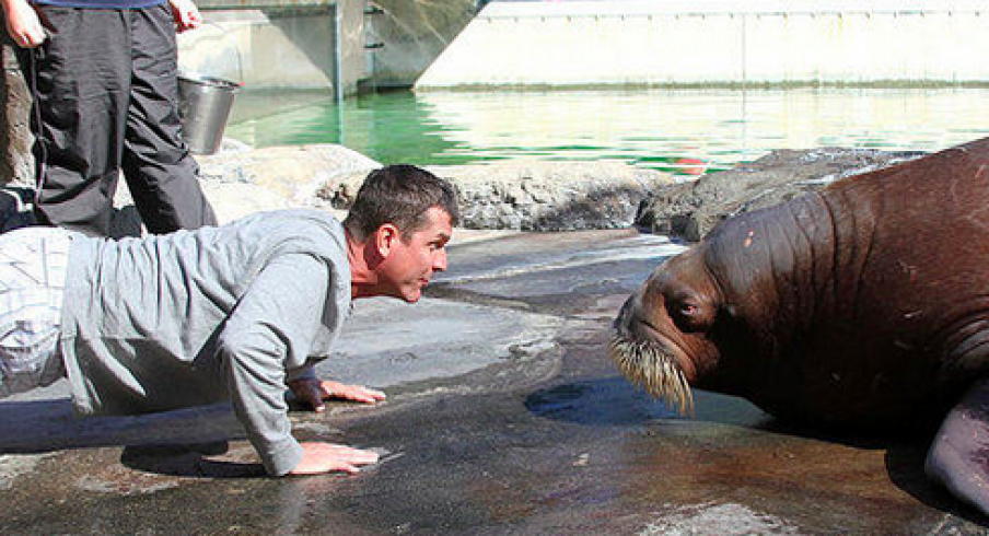 Jim Harbaugh and Jim Bollman in 2012.