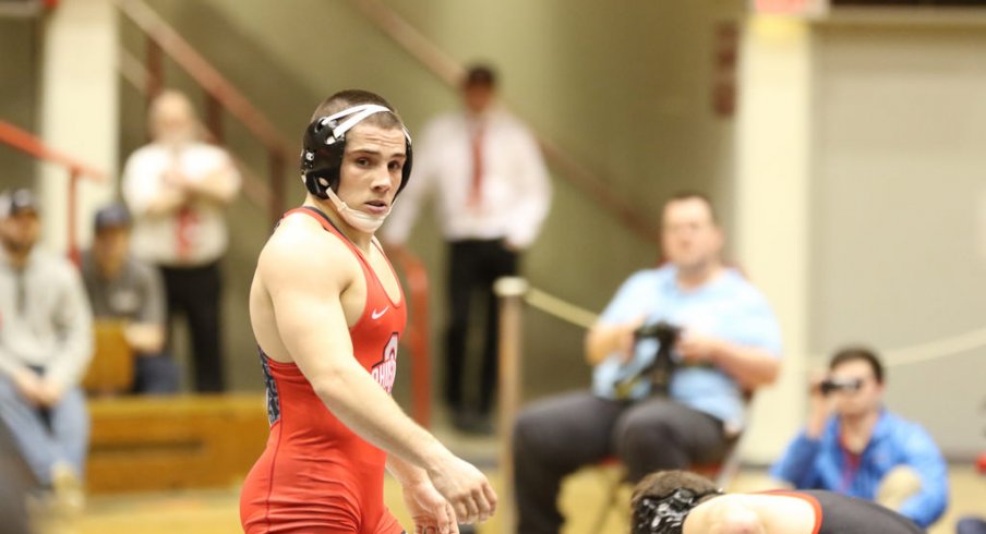 Nathan Tomasello, on the hunt.