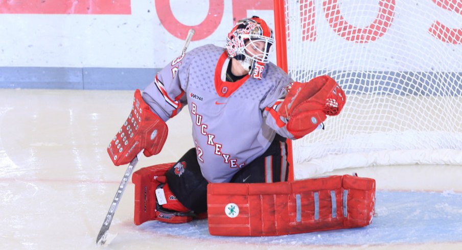 Ohio State Goaltender Kassidy Sauve Transfers To Defending National Champion Clarkson Eleven