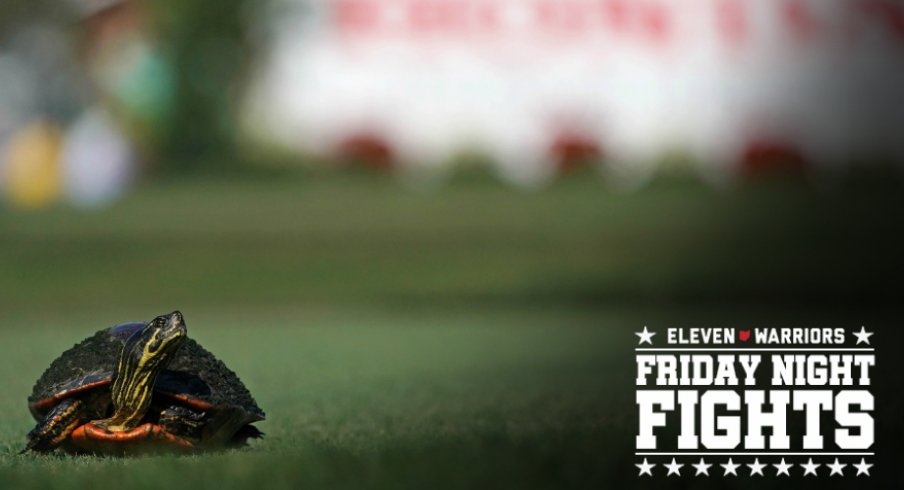 Feb 23, 2018; Palm Beach Gardens, FL, USA; A turtle crosses the tee box on the 2nd during the second round of The Honda Classic golf tournament at PGA National (Champion). Mandatory Credit: Jasen Vinlove-USA TODAY Sports