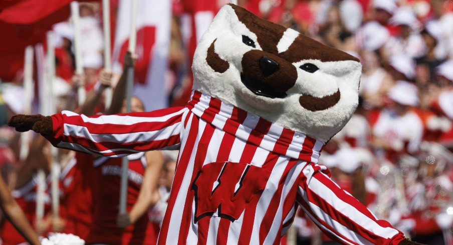 Bucky Badger